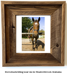 horseback riding near me in Meadowbrook, Alabama